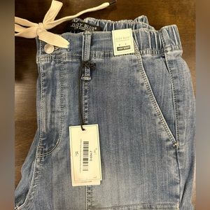 Judy Blue High Rise Jogger Jeans